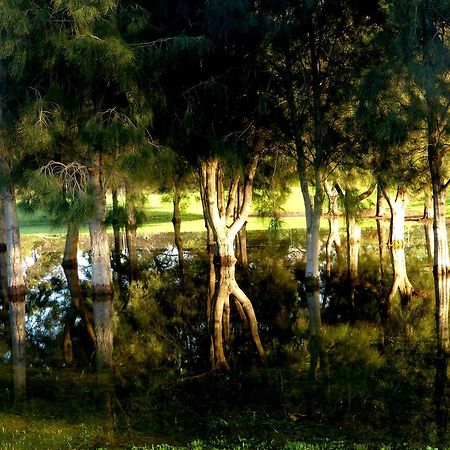 Lure Bed And Breakfast Normanville Εξωτερικό φωτογραφία