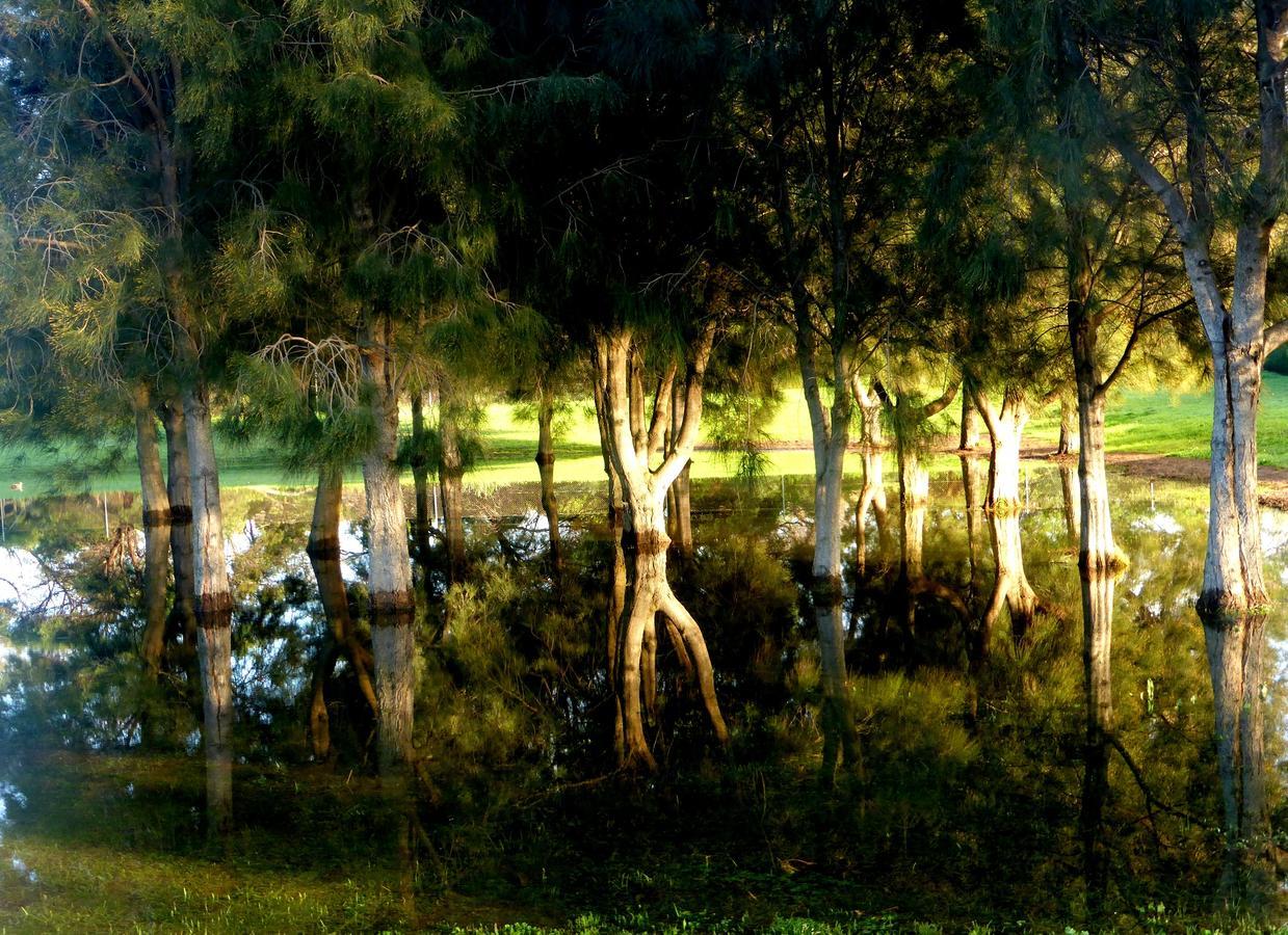 Lure Bed And Breakfast Normanville Εξωτερικό φωτογραφία
