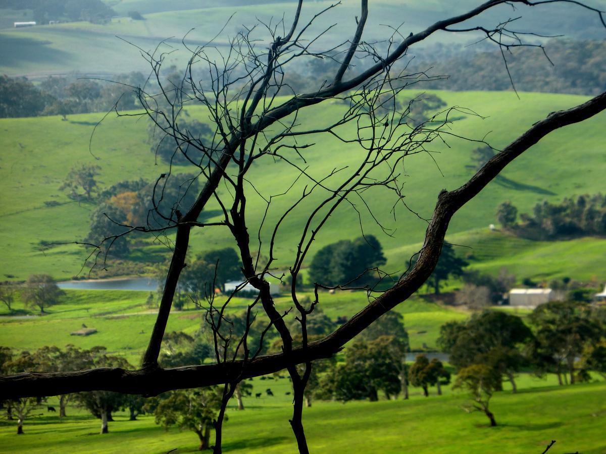 Lure Bed And Breakfast Normanville Εξωτερικό φωτογραφία